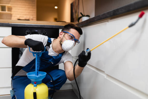 Best Rat Extermination Near Me  in Mvell, AR