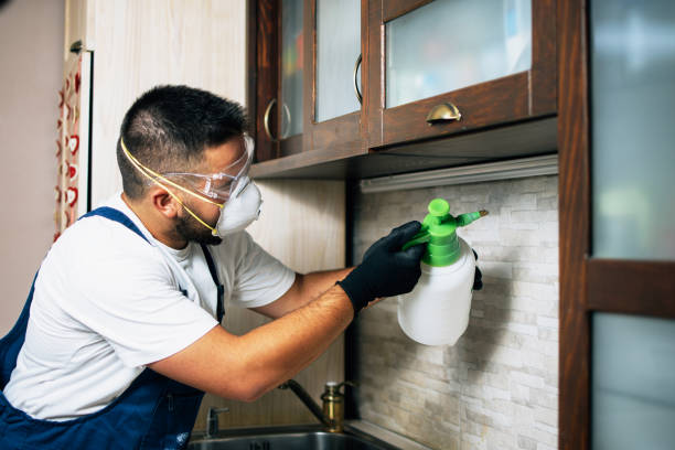 Reliable Marvell, AR Pest Control Solutions