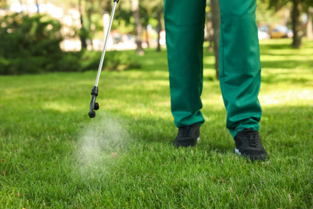 Best Emergency Pest Control  in Mvell, AR