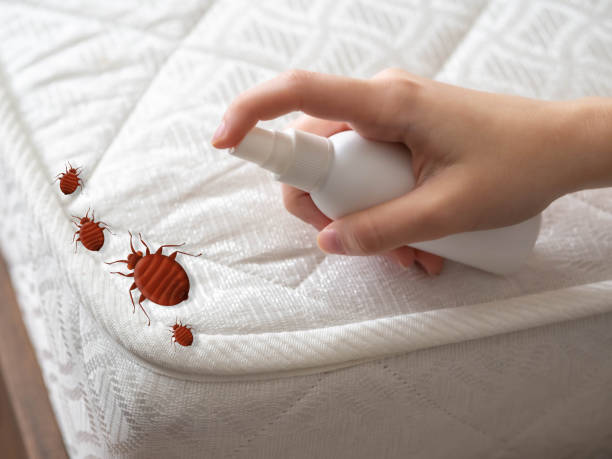 Best Pest Prevention Services  in Mvell, AR