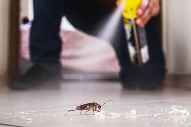 Best Wildlife Control Services  in Mvell, AR
