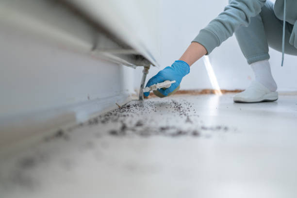 Best Best Pest Control Companies  in Mvell, AR