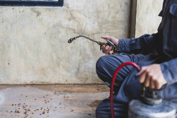 Best Exterminator Services  in Mvell, AR
